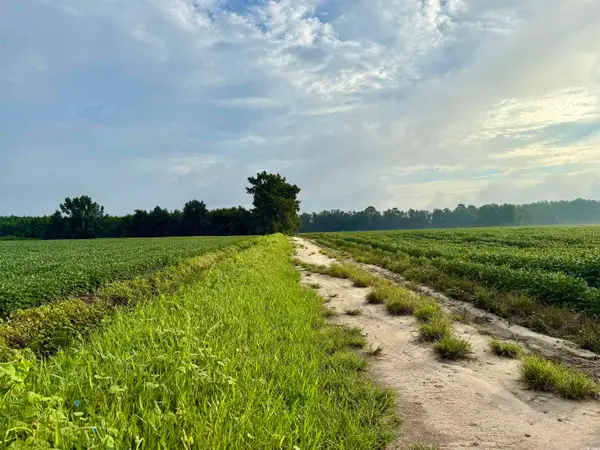 1335 Norwood Rd., Olanta, SC 29114