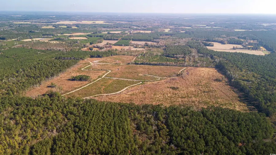 Easler Hwy, Greeleyville, SC 29056 - Image #2