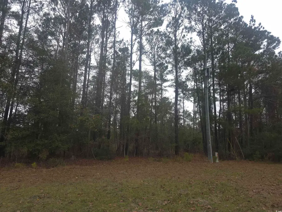 4339 Randall Rd., Conway, SC 29526 - Image #2