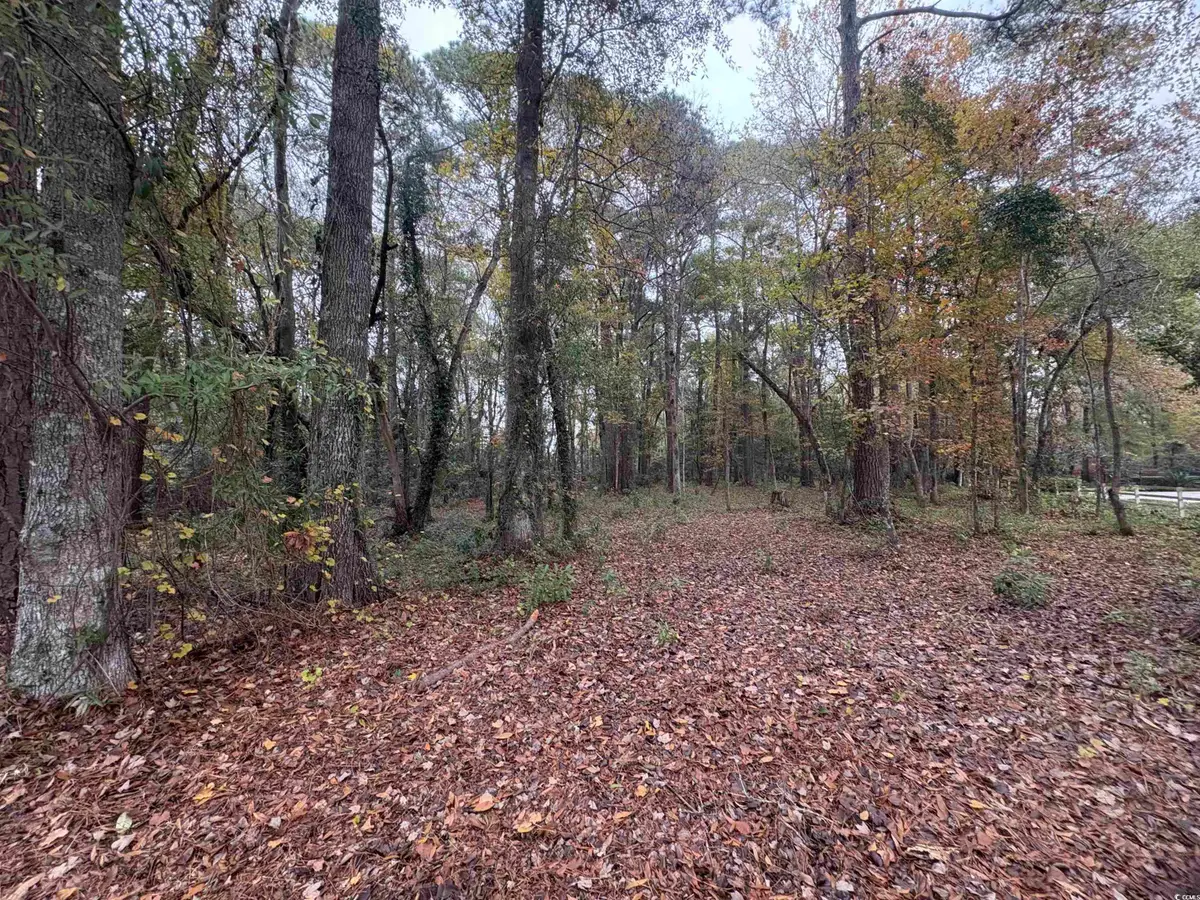 Lot 34 Old Augusta Dr., Pawleys Island, SC 29585 - Image #1