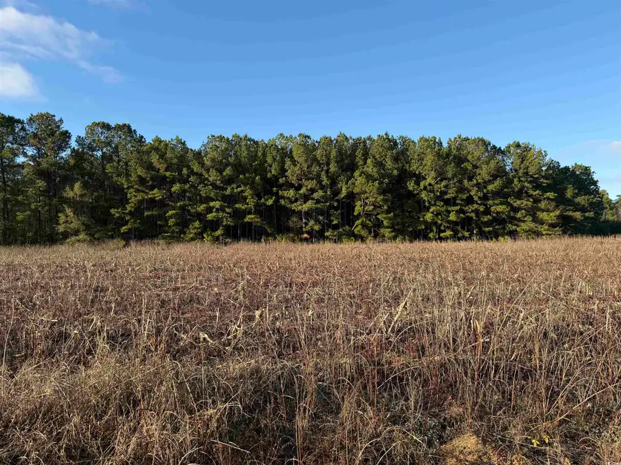 TBD Thomas Dr., Kingstree, SC 29556 - Image #2