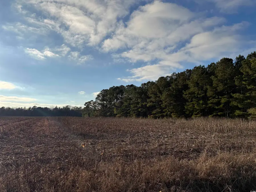 TBD Thomas Dr., Kingstree, SC 29556 - Image #3