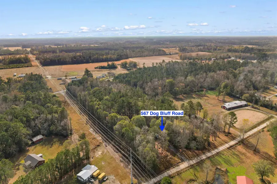 567 Dog Bluff Rd., Galivants Ferry, SC 29544 - Image #2