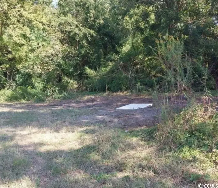 lot 1 Davis Lane, Mullins, SC 29574 - Image #1
