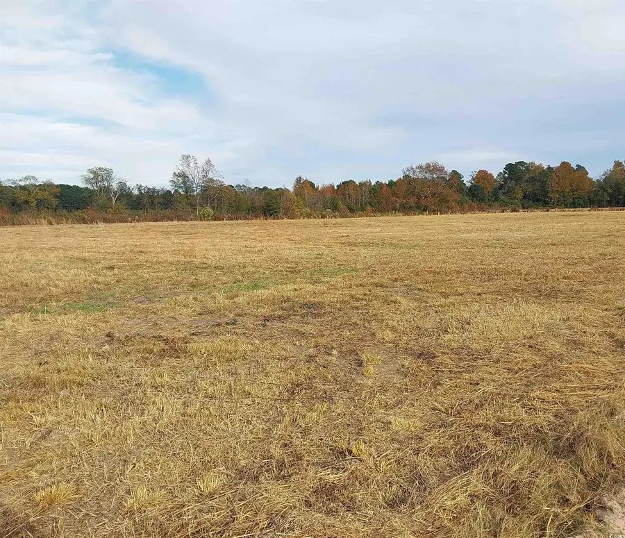 lot 1 Davis Lane, Mullins, SC 29574 - Image #3
