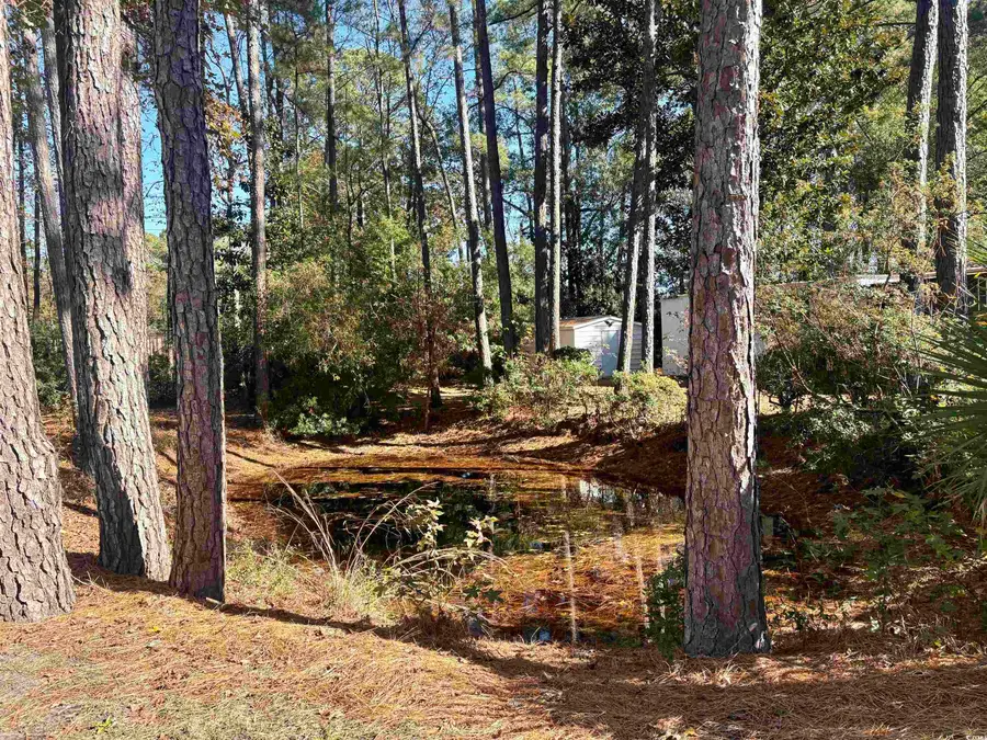 786 Richmond Trail, Murrells Inlet, SC 29576 - Image #3