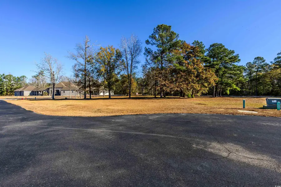 206 Mooney Ct., Loris, SC 29569 - #2