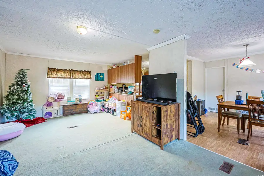 2128 Harvey Rd., Loris, SC 29569 - Image #2