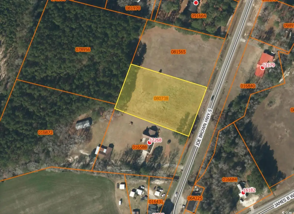 TBD Joe Brown Hwy., Tabor City, SC 28463 - Image #1