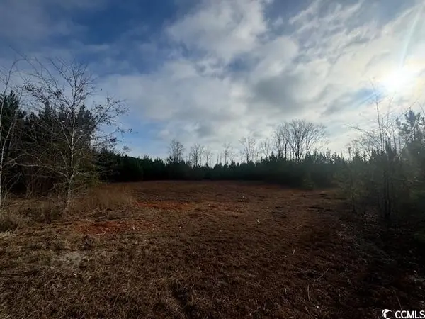 TBD Justice Loop, Loris, SC 29569