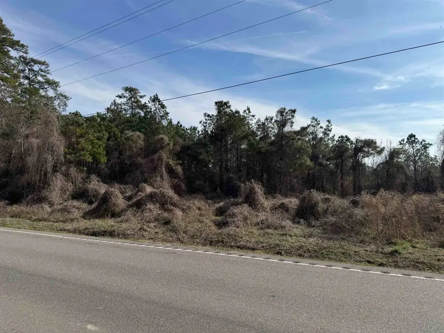 Lt 2 N Highway 905, Longs, SC 29568 - Image #2