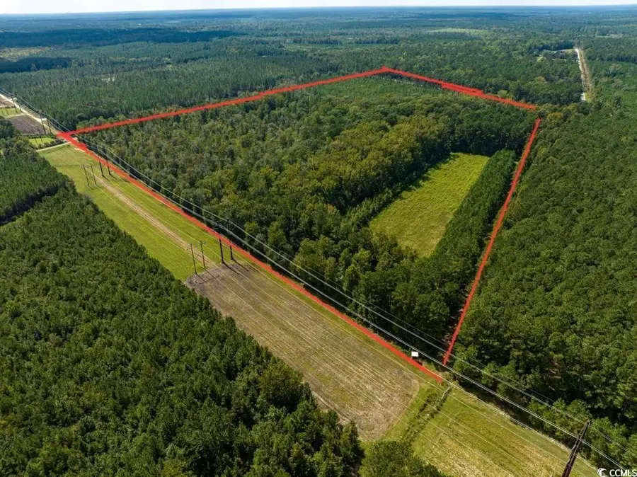 TBD Highway 701 South, Georgetown, SC 29440 - Image #2