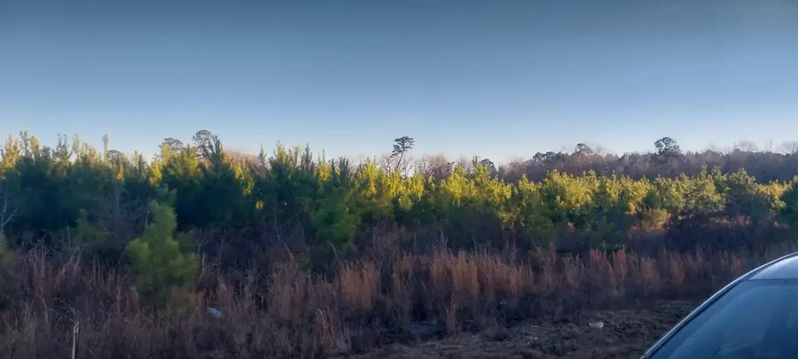 Lot 13 Mw Stroud Rd., Nichols, SC 29581 - Image #2