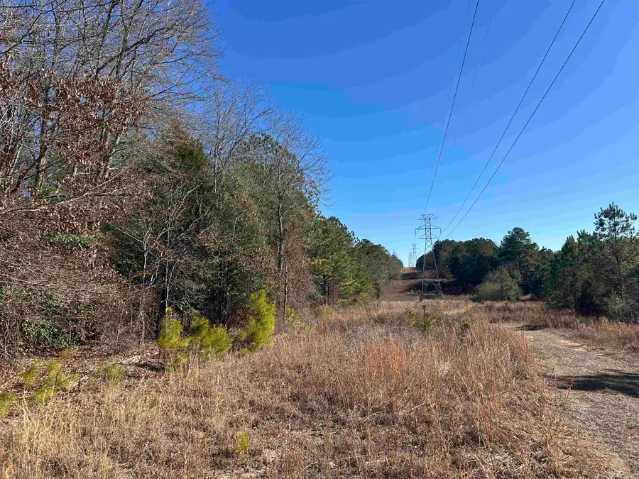 1433 Clyde School Rd., McBee, SC 29101 - Image #2