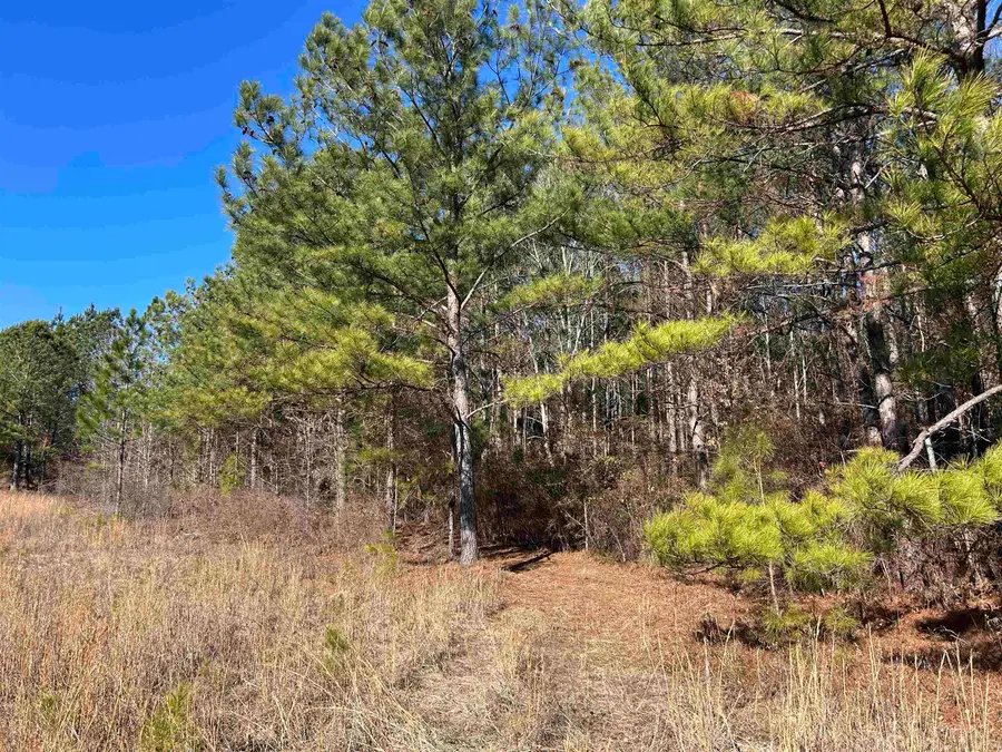 1433 Clyde School Rd., McBee, SC 29101 - Image #3