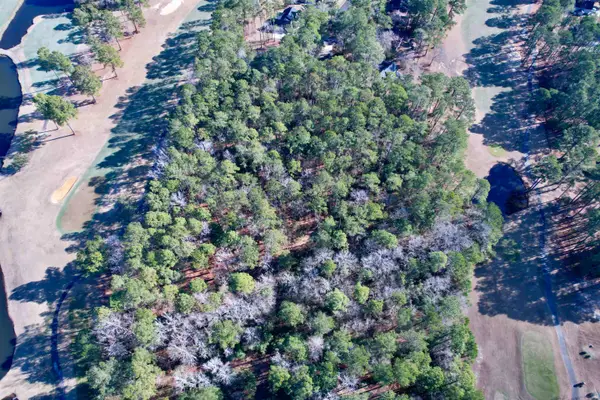 10 Lots - Dragooon Ct., Georgetown, SC 29440