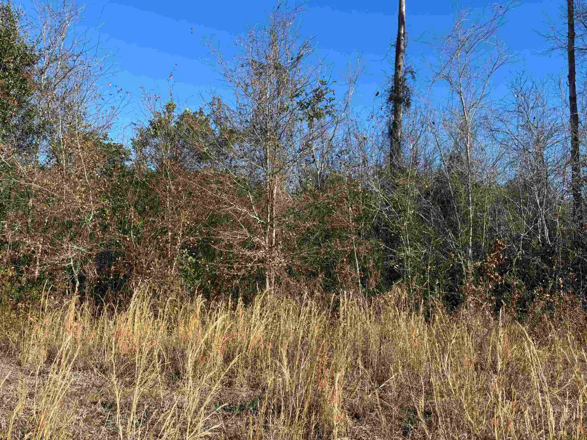 TBD W Highway 19, Loris, SC 29569 - Image #1