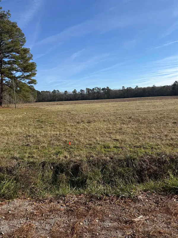 Lot 9 Johnson Shelley Rd., Conway, SC 29526
