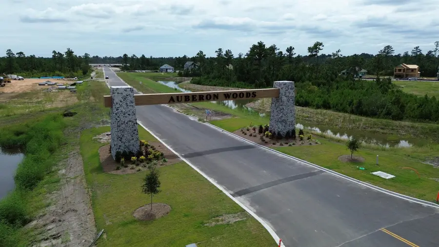 3040 Berry Bush Way, Conway, SC 29526 - Image #3