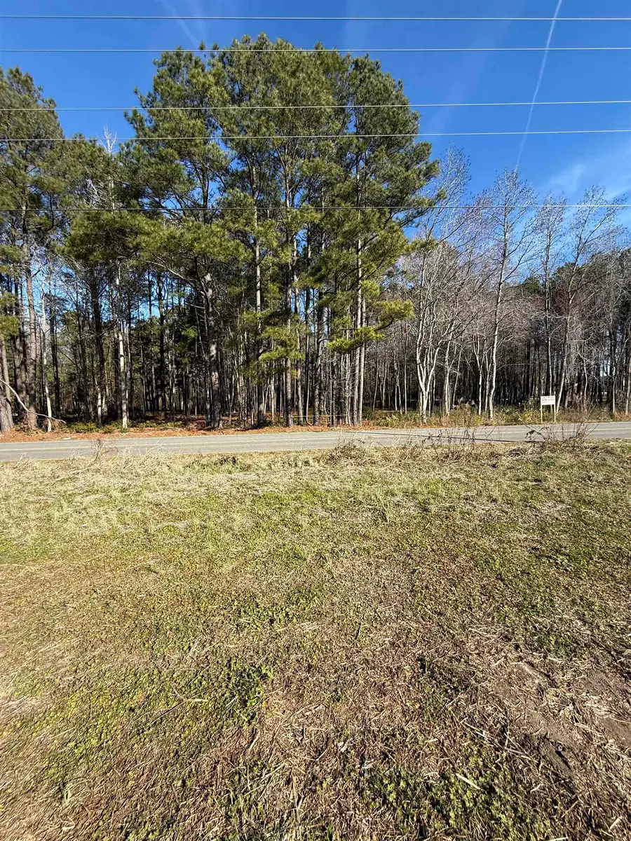 Tract 2 Highway 668, Conway, SC 29526 - Image #3