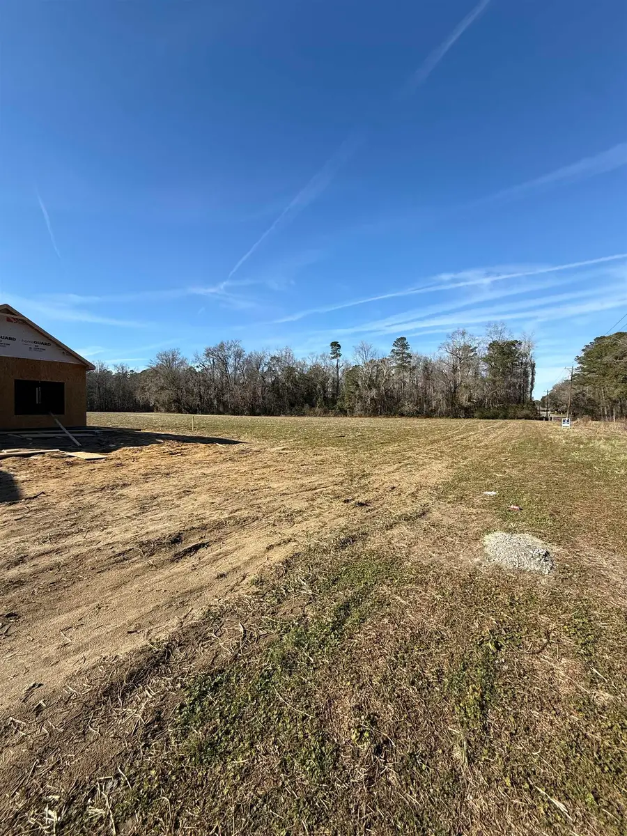 Tract 3 Highway 668, Conway, SC 29526 - Image #2