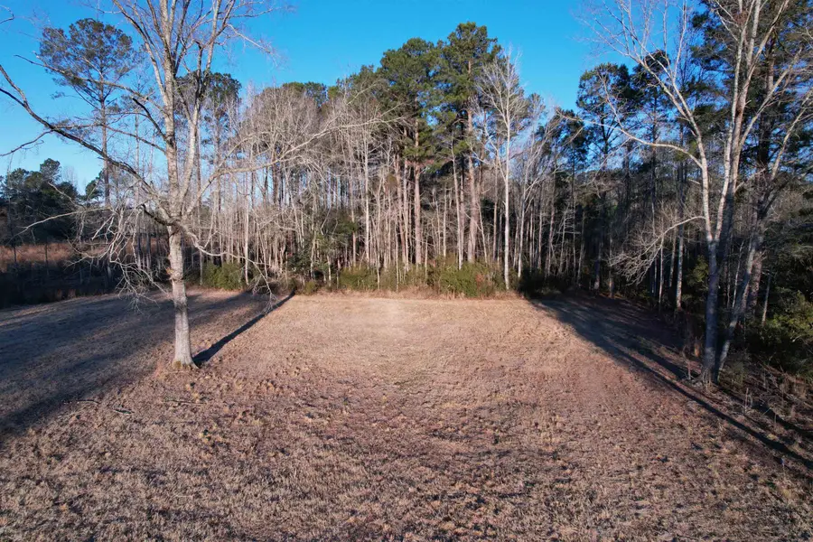 TBD Samuels Ave, Salters, SC 29590 - #3