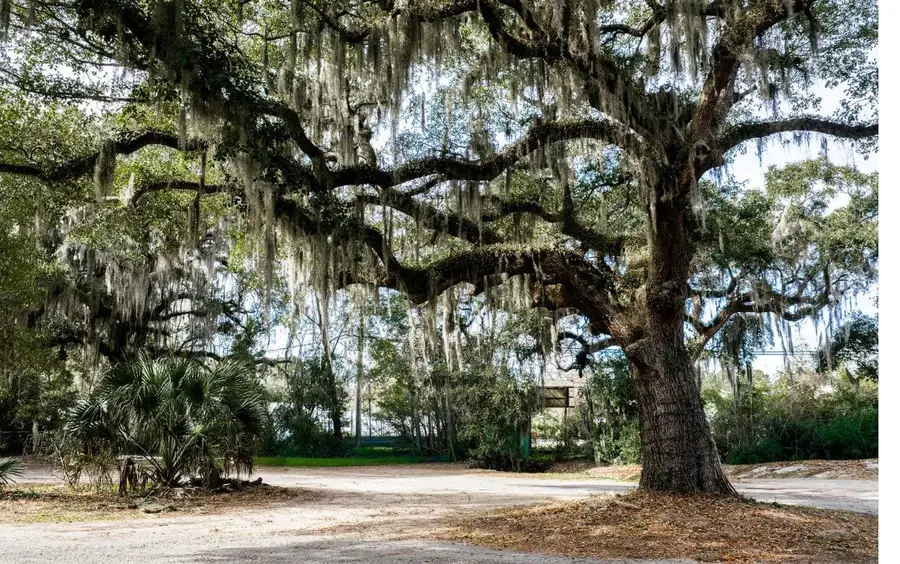 10670 Ocean Hwy., Pawleys Island, SC 29585 - Image #2