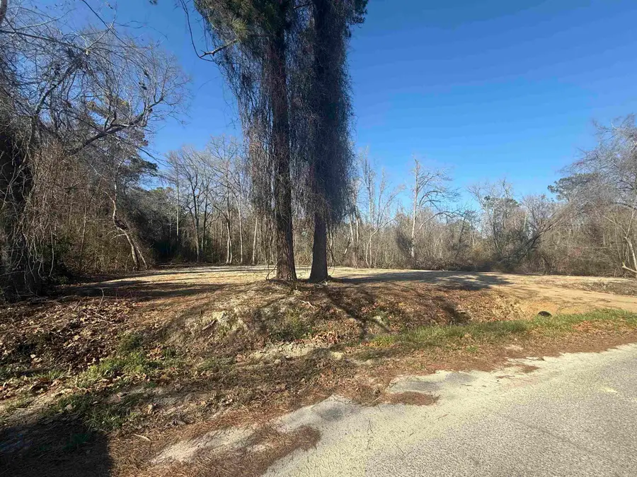 Sunset Dr., Conway, SC 29526 - #3