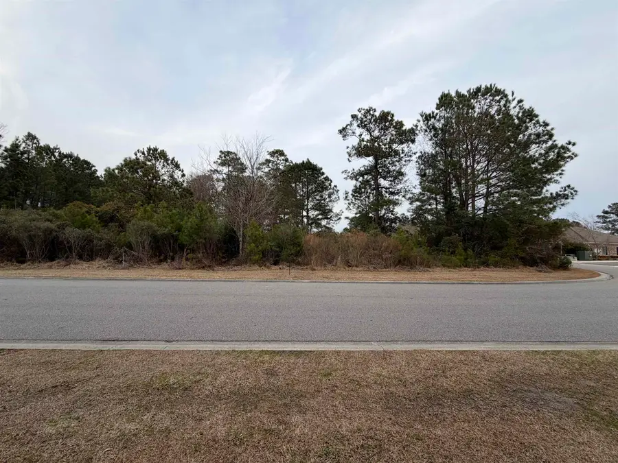 3040 New Castle Loop, Myrtle Beach, SC 29588 - Image #3