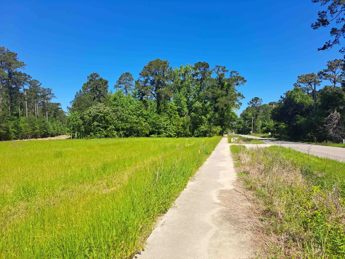TBD Lot A Bucksport Rd., Conway, SC 29527 - #1