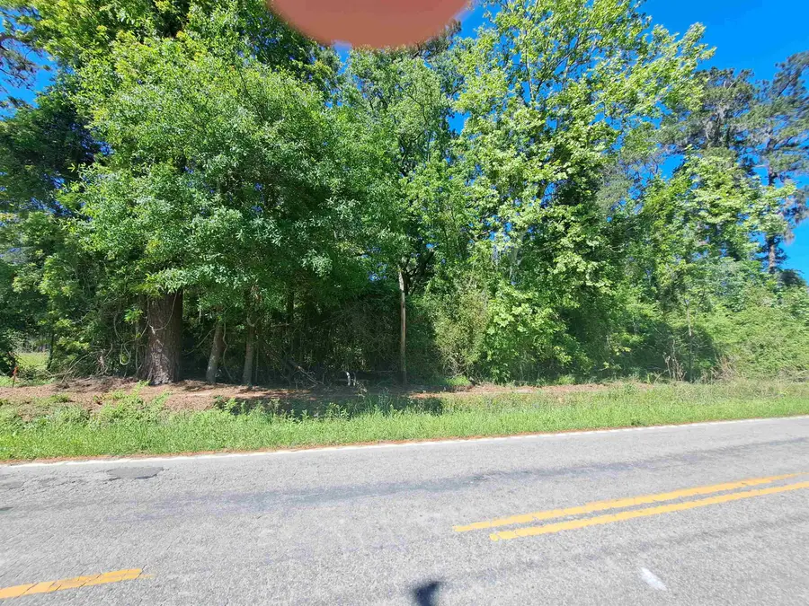 TBD Lot A Bucksport Rd., Conway, SC 29527 - #3