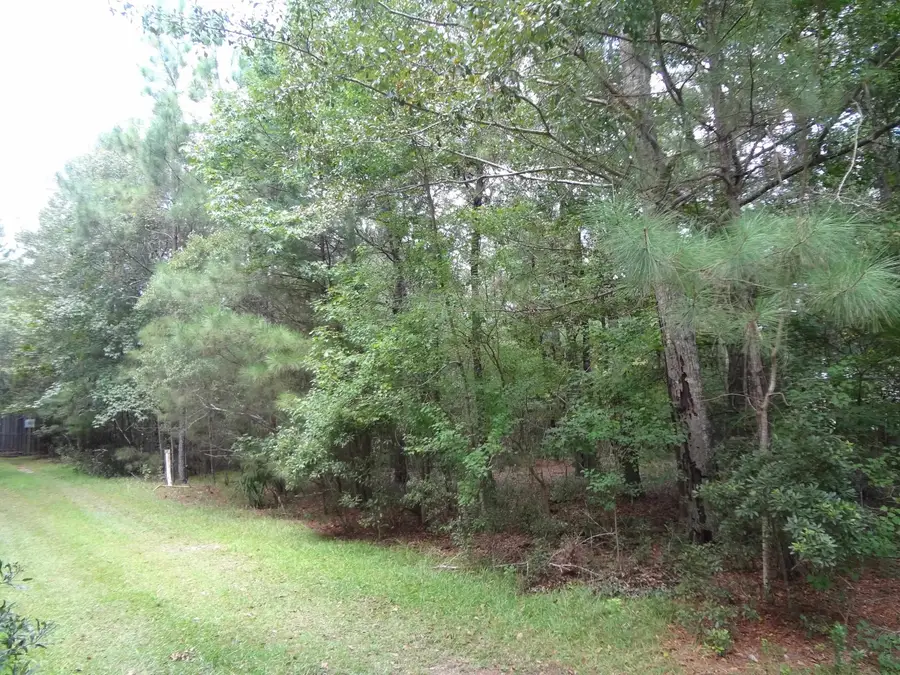 112 Duany Dr., Georgetown, SC 29440 - #3