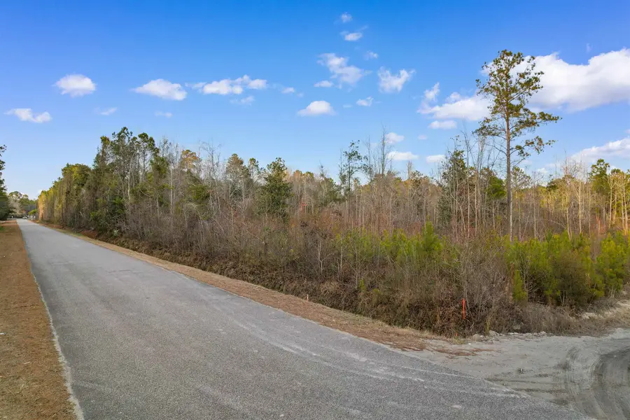 TBD Fowler School Rd., Green Sea, SC 29545 - Image #2