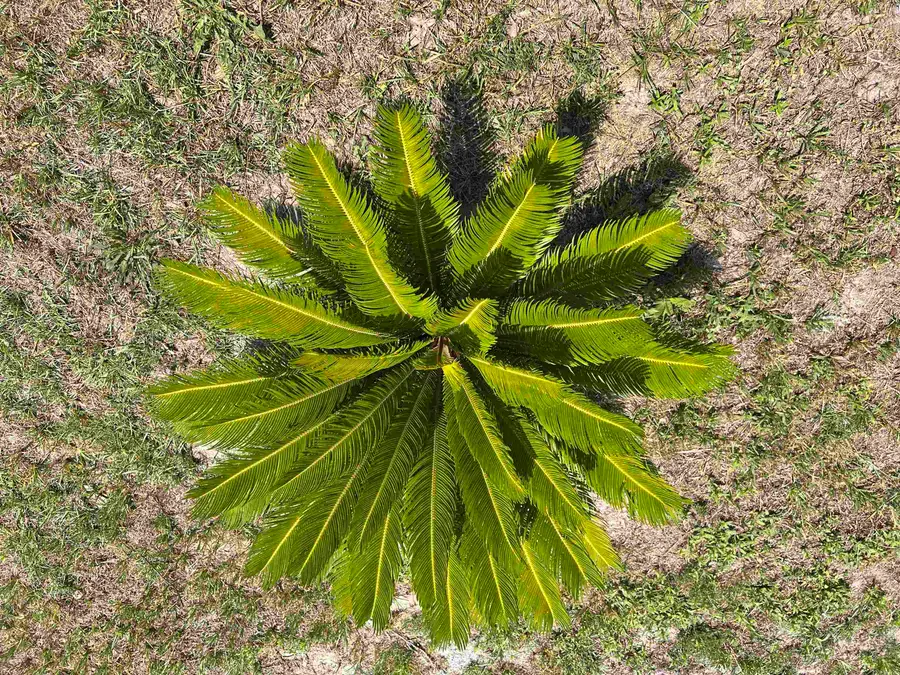 112 Village Ct., Murrells Inlet, SC 29576 - #3