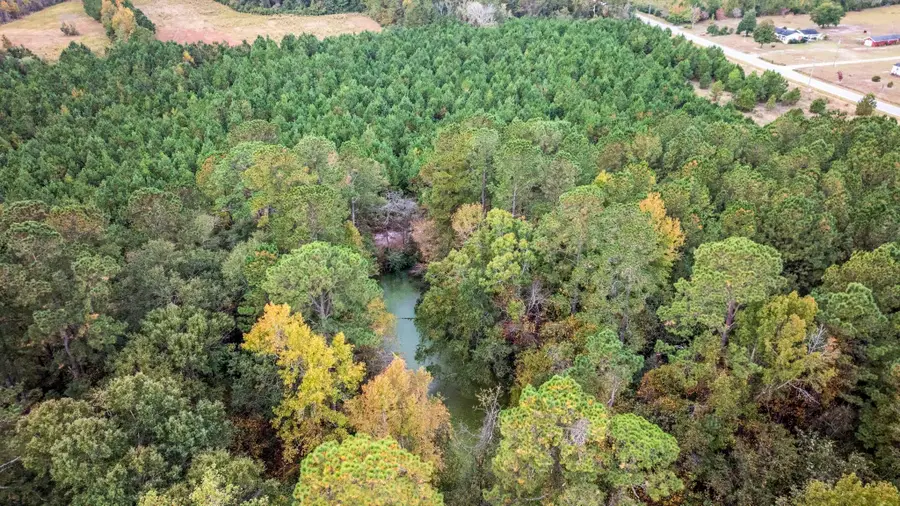 LOT 5 Creek Landing Rd, Nichols, SC 29581 - #3