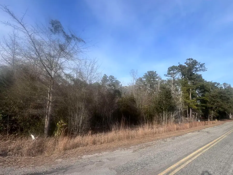 TBD Retired Ave., Marion, SC 29571 - #2