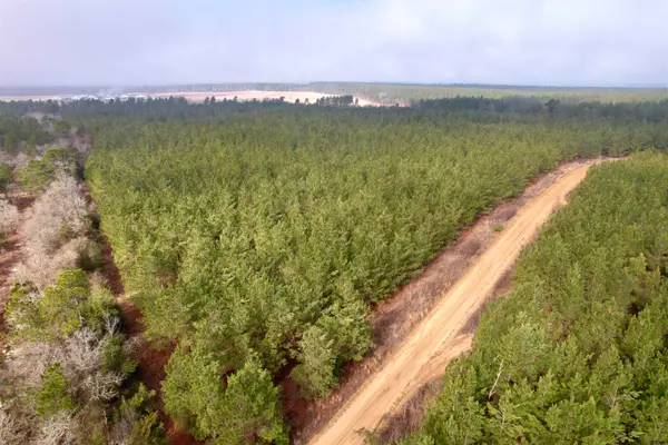 25.93Acres-4567 Dunham Rd, Bethune, SC 29009