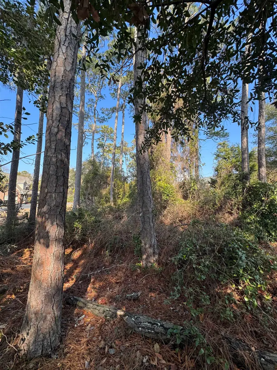 958 Tiffany Ln., North Myrtle Beach, SC 29582 - Image #2