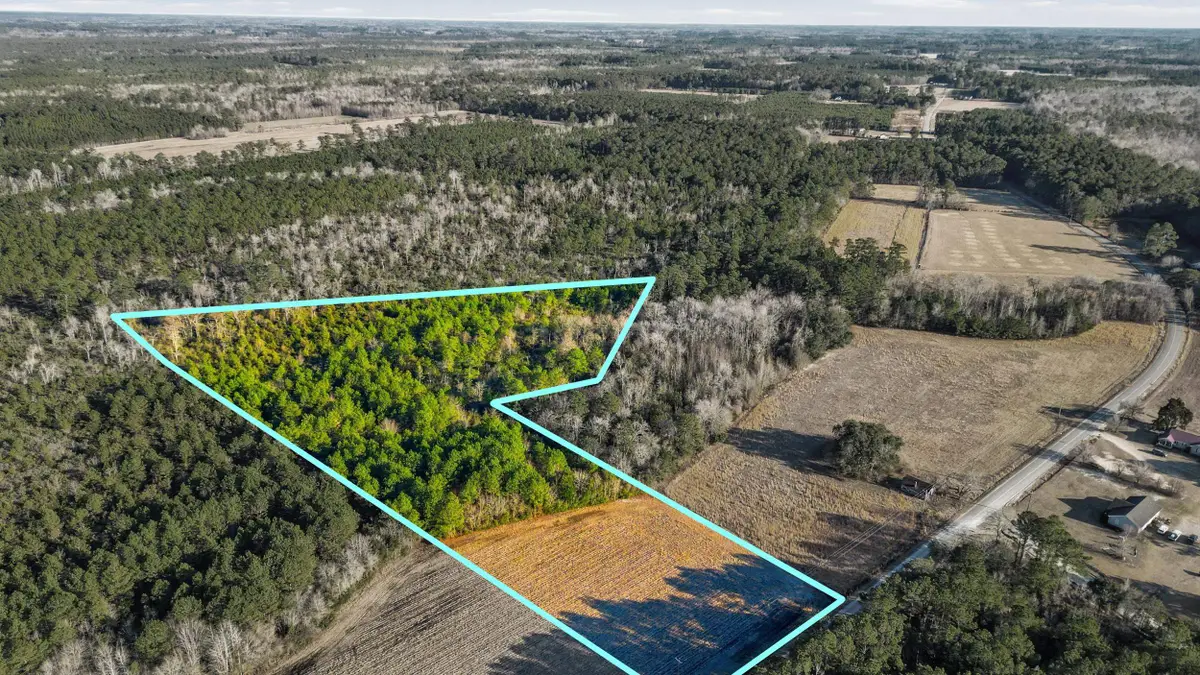 TBD Black Creek Rd., Nichols, SC 29581 - #1