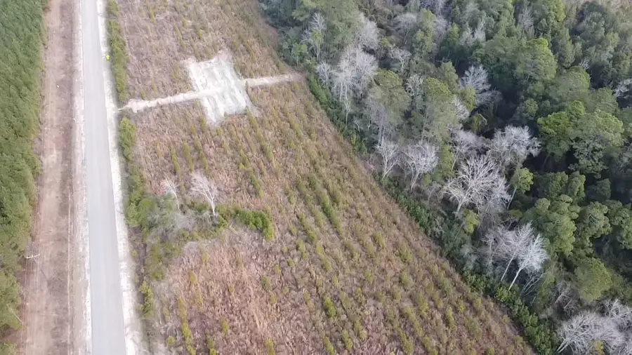 Lot 7 Amos Rd, Georgetown, SC 29440 - #3