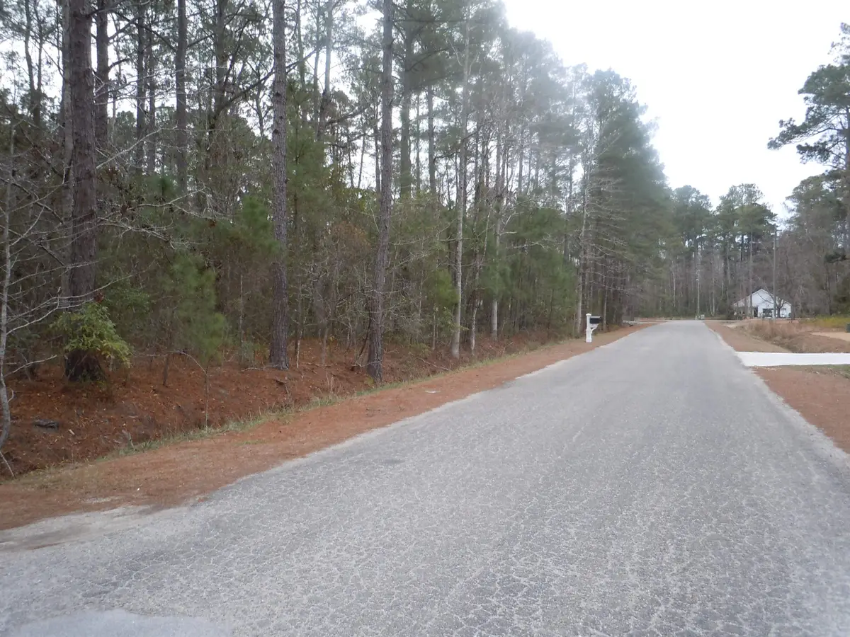 556 Briarwood Dr. Nw, Calabash, NC 28467 - #1