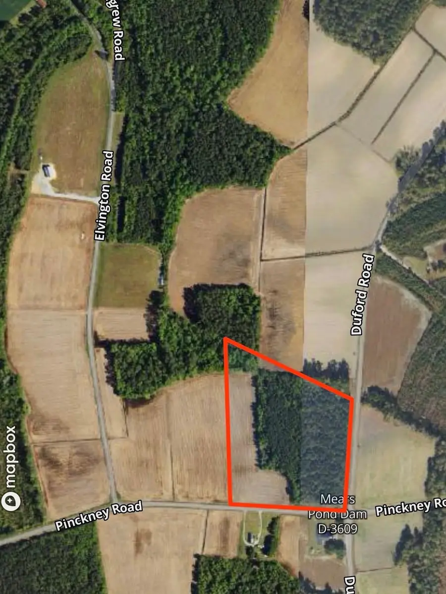 tbd Duford Rd., Nichols, SC 29581 - #2