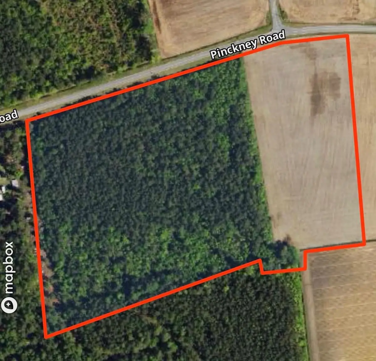 tbd Pinckney Rd., Nichols, SC 29581 - #1