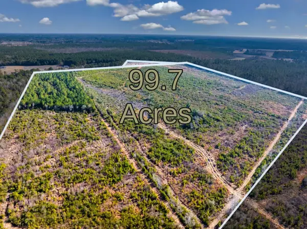 100 Acres Fifteen Mile Bay Rd., Nichols, SC 29581