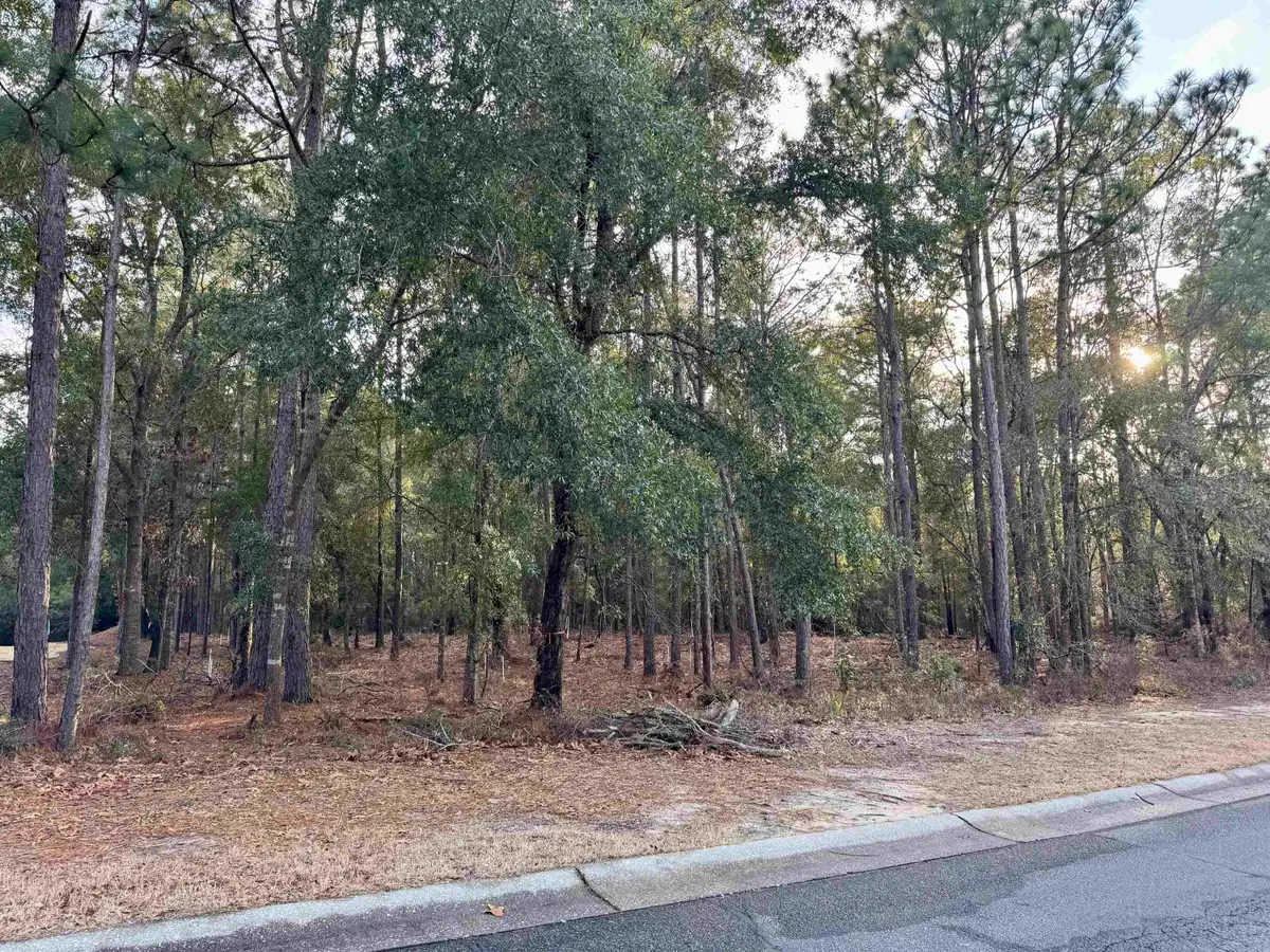 Lot 63 Preservation Circle, Pawleys Island, SC 29585 - #1