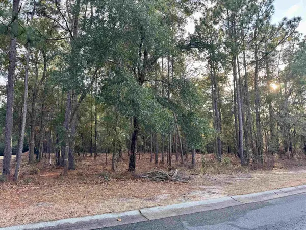 Lot 63 Preservation Circle, Pawleys Island, SC 29585