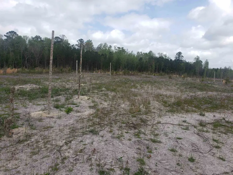 7683 Dock Ridge Rd., Galivants Ferry, SC 29544 - #3