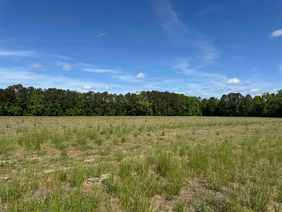 4633 Grainger Circle, Green Sea, SC 29545 - #2