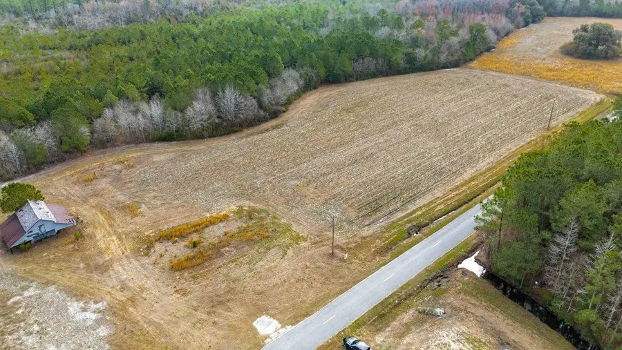 9060 Black Creek Rd., Nichols, SC 29581 - #3