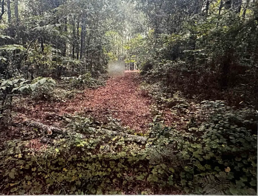 4563 South Island Rd., Georgetown, SC 29440 - #3